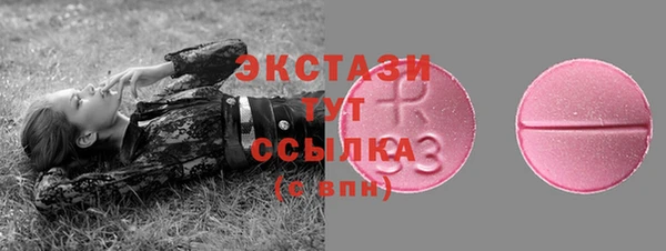 гидра Вяземский