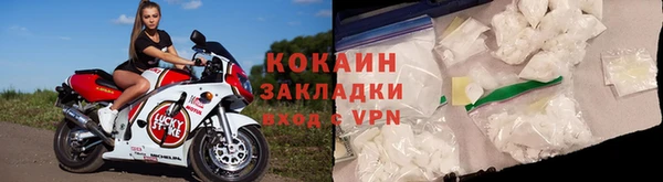 гидра Вяземский