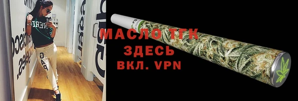 гидра Вяземский