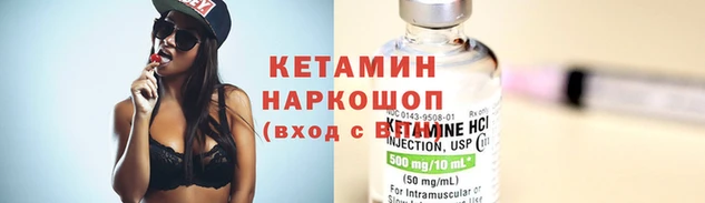 гидра Вяземский