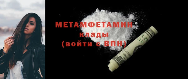 гидра Вяземский