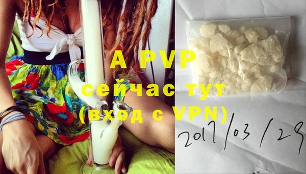 гидра Вяземский