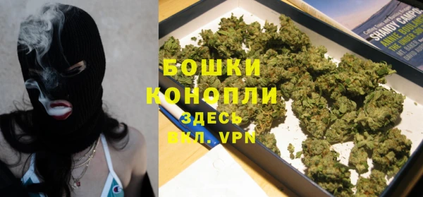 гидра Вяземский