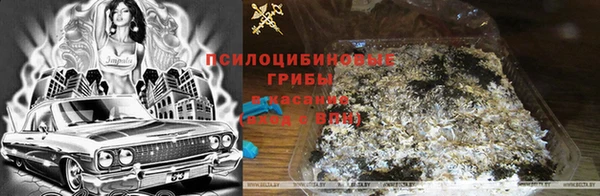 трава Вязьма