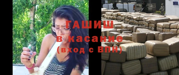 гидра Вяземский