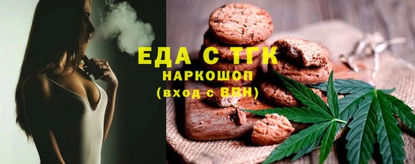гидра Вяземский